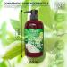 Dead Sea Collection Hemp & Coconut Lime Body Lotion | Nourishing Moisturizer for Dry Skin - 16.9 Fl. Oz. | Unisex Rejuvenating Hand & Body Care - Buy Online on GoSupps.com