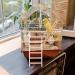 Vanzack Climbing Director for Parrots | Acrylic Vogel Ladder & Wooden Bird Cage Conductor | 26.50x10.00cm | Durable & Safe Pet Accessories - Buy Online on GoSupps.com