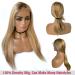 Blonde Balayage Lace Front Human Hair Wig for White Women | Brown to Blonde Highlights | 20 Inch 150% Density Pre Plucked Straight Wig - Buy Online on GoSupps.com