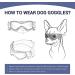 NAMSAN Medium Dog Goggles | Anti-UV Glare Sunglasses for Small to Medium Dogs | Adjustable Motorcycle Glasses for Doggy Eye Protection - Buy Online on GoSupps.com