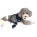 Zunea Small Dog Harness and Lead Sets No Pull Adjustable Reflective Step-in Soft Mesh Corduroy Vest Harnesses for Boy Girl Pet Dogs Puppy Chihuahua Cats Blue S S (Pack of 1) blue - Buy Online on GoSupps.com