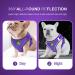 Femax Soft Mesh Dog Harness & Leash for Small to Medium Dogs & Cats - Adjustable Reflective No-Pull Vest for Puppies - Purple - Size M (Breast 35-40cm) - Buy Online on GoSupps.com
