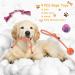 Squeaky Plush Dog Rope Toys Set 8 Pack Puppy Chew Toys for Teething Training Cute Interactive Tug Rope Toys for Boredom Xmas Gift for Small and Medium Dogs Washable Natural Cotton & Non Toxic - Buy Online on GoSupps.com