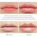 Plumping Lip Oil Moisturising Lip Gloss Tinted Lip Balm Lip Care Transparent Lip Oil Long Lasting Nourishing Lip Gloss Oil 5 ml Lip Balm Stick (H One Size) 1 count (Pack of 1) H - Buy Online on GoSupps.com