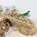 MEISH Reptile Hammock Bearded Dragon Hammock Reptile Lounger Seagrass Hammock with Sucker for Chameleon Lizards Gecko - Buy Online on GoSupps.com