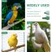VILLCASE Bird Water Feeder Automatic Bird Water Dispenser Bird Cage Feeder and Drinker Set Bird Water Bowls Hanging in Cage Accessories for Parrots Budgie Lovebirds (Pack of 10) - Buy Online on GoSupps.com