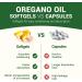 HIIHONE Oil of Oregano Softgels - Oil of Oregano with Black Seed Oil Formulated with Carvacrol 165mg & Thymoquinone 240 Softgels (2 Packs) - 120 Days Supply - Buy Online on GoSupps.com