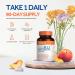 Whollium Methyl B12 5000mcg Supplement - Vegan, Fast Dissolve, Peach Flavor - Energy, Heart & Brain Health - 90 Tabs - Buy Online on GoSupps.com