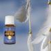Young Living Dream Catcher Essential Oil 15ml | Aromatherapy for Insight & Emotional Creativity | Positive Aroma for Dream Realization - Buy Online on GoSupps.com
