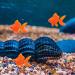 Balacoo 10 Pcs Realistic Artificial Goldfish - Floating Tropical Fish Decor for Aquariums | Mini Animal Toys - Buy Online on GoSupps.com