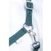 Nylon Halter BASICLINE - Dark Green Warmblood | RL24 | Durable & Stylish Horse Gear - Buy Online on GoSupps.com
