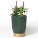 Earnest Living essential oil Diffusor ceramic artificial succulent plants pot diffuser 100 ml for lavender etheric oils timer night light and car-off function of humidifying aromatherapy green