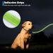 Buy Loutep Reflecting Training Lines for Dogs - Durable 3m to 25m Leashes Padded Handle Reflective Light Green | Perfect for All Dog Sizes - International Shipping - Buy Online on GoSupps.com
