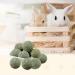 10pcs Barley Ears Chew Toys for Small Animals | Rabbit, Hamster, Guinea Pig | Teeth Grinding & Boredom Breakers - Buy Online on GoSupps.com