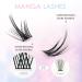 LANKIZ Manga Lash Individual Cluster Lashes Extensions | Natural Look, Soft, Lightweight & Reusable | 56 Cluster + 40 Bottom Lashes | C-Curl - 01 Style - Buy Online on GoSupps.com