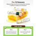OneRoot Organic Beeswax Lip Balm | Citrus Moisturizer for Dry Lips | Coconut Oil Vitamin E & Rosemary Extract (0.15oz - Buy Online on GoSupps.com