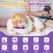 FRDUGA Calming Collar for Cats Cat Calming Collar All New Calming Pheromone Collar for Cats Cat Pheromone Collar Cat Calming Collar for Anxiety Efficient Relieve Anxiety and Stress (4 PCS) - Buy Online on GoSupps.com