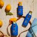 Nivea Sun Protect & Moisture SPF 30 - 200ml Moisturising Sun Lotion - Buy Online on GoSupps.com
