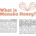 NUTRIMEL Manuka Honey 15+ (MGO 550+) - Glass jar (250 g) - New Zealand origin - 100% Tested and certified - Buy Online on GoSupps.com