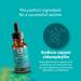 Natural Chlorophyll Liquid Drops - Mint Flavored for Digestive Health & Immune Support | 2oz - Buy Online on GoSupps.com