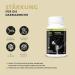 Peticare Wurmkur Powder for Dogs | 100% Natural Vegetable Deworming | Prevent & Treat Worm Infestation | Petdog Health 90g - Buy Online on GoSupps.com