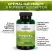 Swanson Probiotic for Digestive Health GI Tract Immune Support Travelers Support 20 Billion CFU with Prebiotic FOS 60 Veggie Capsules (Caps) - Buy Online on GoSupps.com