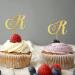 Initial R Cupcake Toppers Wedding Letter Monogram Name For Wedding Engagement Decorations Elegant Flower Wreath Personalized 26Letters Birthday Gifts 6PCS Style-4 - Buy Online on GoSupps.com