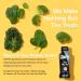Plant-Based Protein Shake: 20g Vegan Protein, Organic Pumpkin Seed Flax Pea Blend, Prebiotic Supplement, Superfood Greens All-in-One Nutrition - Vanilla Variety Pack (12 Pack) - Buy Online on GoSupps.com
