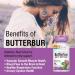 Solaray Butterbur Root Extract 50 mg - 60 VegCaps for Natural Relief - Buy Online on GoSupps.com
