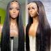22 Inch Straight Human Hair Lace Front Wig | HD Transparent Lace Frontal Wig with Baby Hair | Pre Plucked & Glueless | Natural Color - Buy Online on GoSupps.com