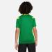 Buy Nike Park Derby III Short Sleeve Football Jersey - Pine Green/Tour Yellow - Unisex Kids (L) | International Shipping Available - Buy Online on GoSupps.com