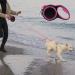 Dogs Retractable Leash 5m/16FT Heavy Duty Strong Nylon Lead for Medium Pets - Anti-Slip, No-Tangle Tape, Pink - Buy Online on GoSupps.com