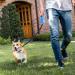 Ruayia Classic Pull-Out Leash for Dogs up to 52kg - 360 Guiding & Braking System - 5m Blue - International Shipping - Buy Online on GoSupps.com