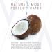 ALURAM Coconut Water Moisturizing Conditioner for Men & Women | Clean Beauty | Sulfate & Paraben Free | 12 Fl Oz - Buy Online on GoSupps.com