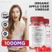 Trim Tech Keto ACV Gummies - Advanced Weight Loss Supplement with Apple Cider Vinegar for Belly Fat - 60 Gummies - Buy Online on GoSupps.com
