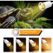 2-Piece UVB Reptile Heat Lamp Set with 240cm Cable & Dimming Switch - 360 Flexible Clip for Turtles & Aquariums (No Bulb) - Buy Online on GoSupps.com