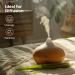 Healing Solutions Organic_Parent - Buy Online on GoSupps.com