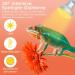 Buy Lucky Herp Reptiles Heat Lamp 100W - UV UVA Light for Turtles Chickens Dogs & Amphibians | 2-Pack Upgrade for Terrariums - Buy Online on GoSupps.com