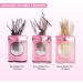 Brushworks Black Bobby Pins - 50 Pieces - Buy Online on GoSupps.com