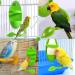 2 Pcs Cuttlefish Holder Cuttlefish for Birds Parrot Stand With Feeding Racks Suitable for Small Birds Such As Parrots/Parakeets/Cockatoos/Lovebirds/Green-Cheeked Chicks - Buy Online on GoSupps.com