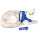 Ranphy Cat Dishes & Harness Set - Breakproof Leash Soft Fabric for Small Cats & Puppies - XS Blue - International Shipping - Buy Online on GoSupps.com