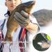 LZYKJGS Waterproof Fishing Gloves - 2 Piece Set Anti-Cut & Magnetic Closure for Predatory Fish - Ideal for International Shipping - Buy Online on GoSupps.com
