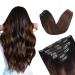 Vlasy Clip in Hair Extensions Human Hair 7 Pieces Clip in Hair Extensions Real Human Hair Seamless Straight Natural Thick Weft Human Hair Clip in Extensions for Women T2/6+2# 14 Inch(70 g) 14 Inch (70 g) T2/6+2#