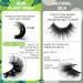 Kmilro Cluster Lashes - 100 Clusters 12-20MM Wispy 6D Volume Fake Eyelash Kit - Fluffy Cat Eye Individual Lash Extensions - Natural Soft Handmade Pack - Buy Online on GoSupps.com