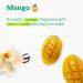 ATTITUDE Shampoo and Body Wash for Kids EWG Verified Hair and Body Cleanser Dermatologically Tested Soap Plant and Mineral Based Bath Products Vegan Mango 16 Fl Oz (Pack of 6) Mango 16 Fl Oz (Pack of 6) - Buy Online on GoSupps.com