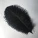 Sowder 6-8 Black Ostrich Feathers Plume 10pcs - Wedding Centerpieces & Home Decor - Buy Online on GoSupps.com