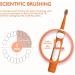 CHAIN PEAK Dinosaur Kids Sonic Electric Toothbrush for Children 3-12 | 30s Reminder, 2 Mins Timer, 5 Modes | 8 Brush Heads, Rechargeable | Orange | Wall-Mounted Holder - Buy Online on GoSupps.com