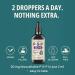 P5P Liquid Drops Activated Vitamin B6 (Pyridoxal-5-Phosphate) Fast Absorption Formula Nervous System & Energy Support 2 oz (60 mL) Think Above - Buy Online on GoSupps.com