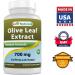 Best Naturals Olive Leaf Extract 700mg - 90 Count Supplement - Buy Online on GoSupps.com