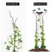 2-in-1 Metal Bird Water Dispenser & Feeder - Retro Garden Decor for Outdoors - Buy Online on GoSupps.com
